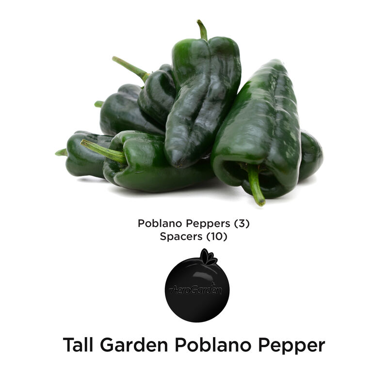 Poblano Pepper Seed Pod Kit image number null